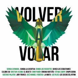 Cover of Volver A Volar