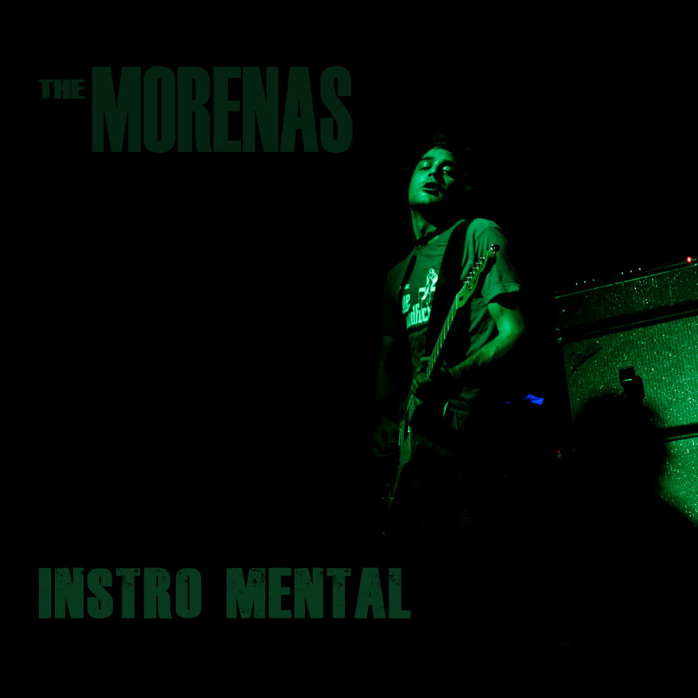 Picture of Instro Mental