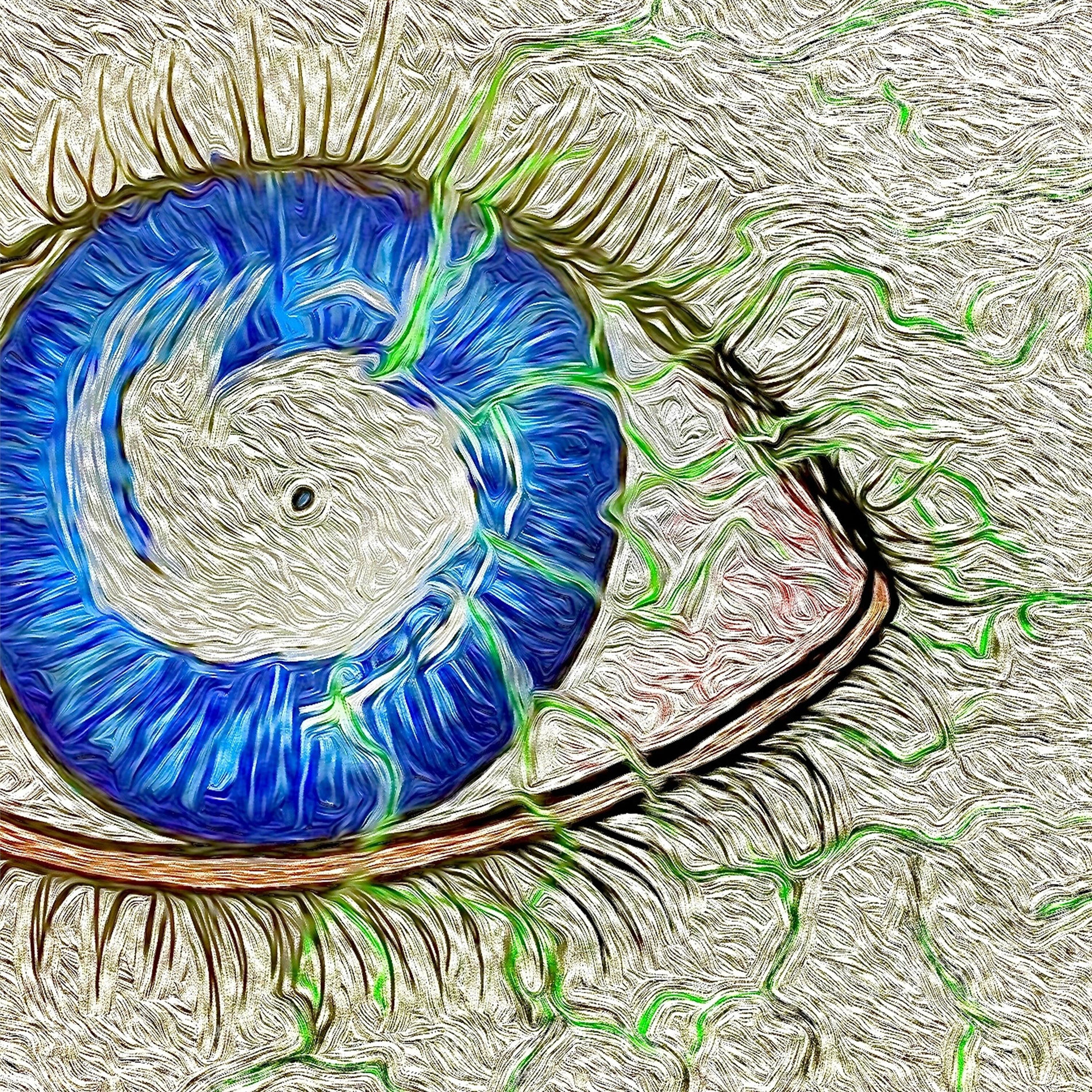Album cover of Eye Of The Storm Reborn