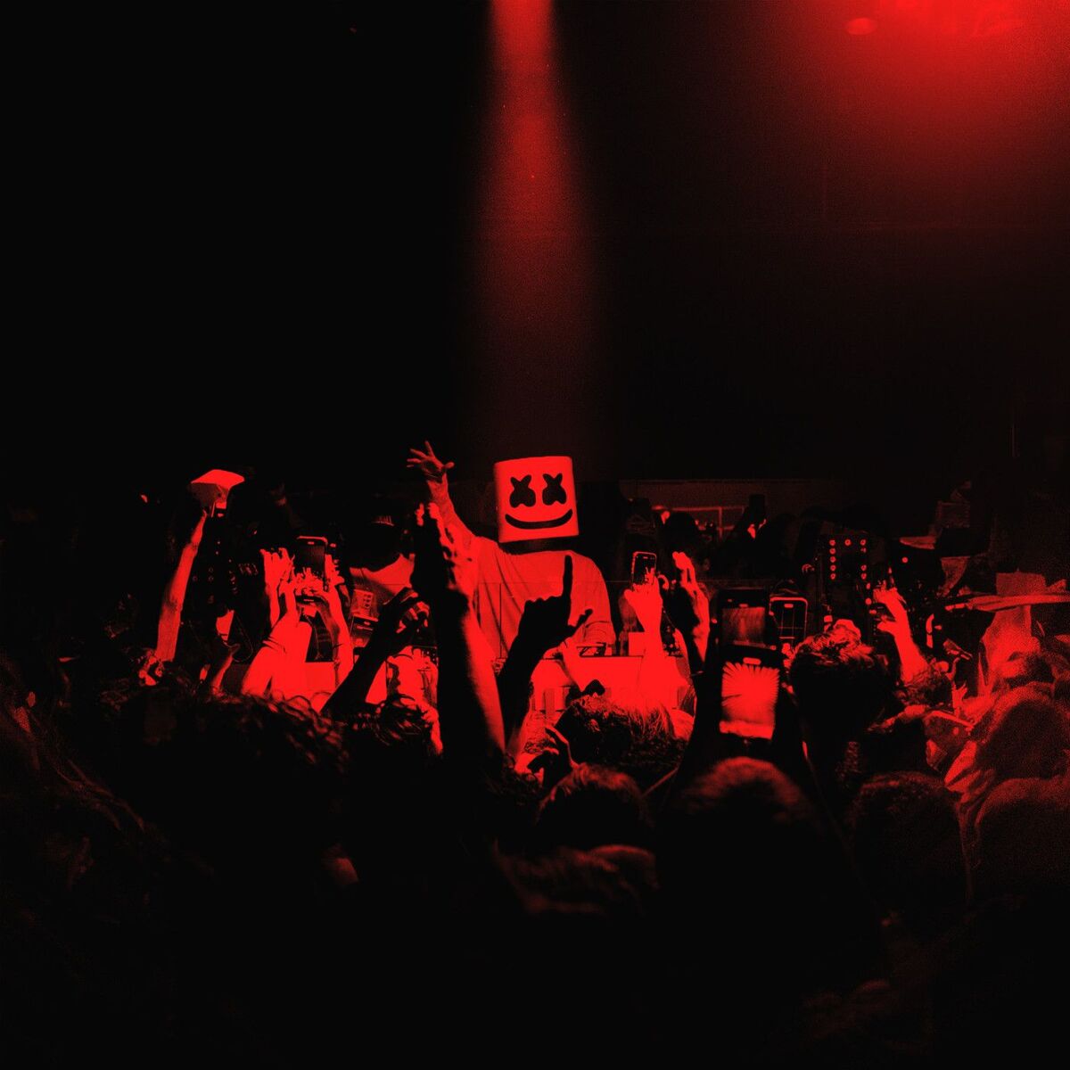 Album cover of The R♾️ts (Remixes)