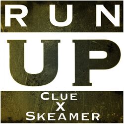 Cover of Run Up
