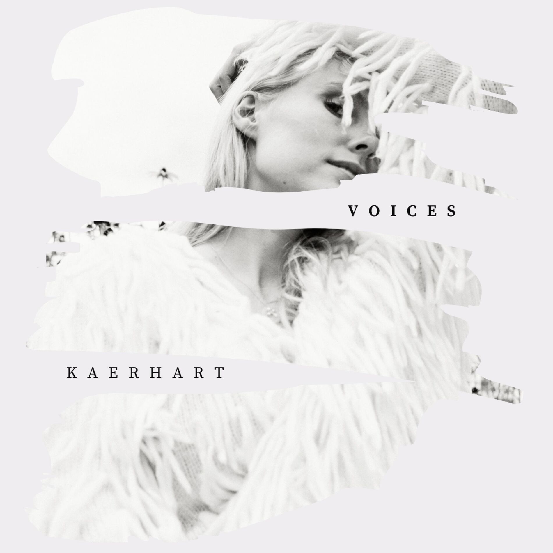 Album cover of Voices