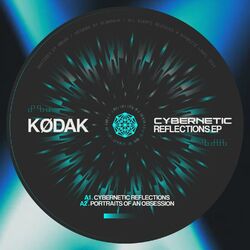 Cover of CYBERNETIC REFLECTIONS