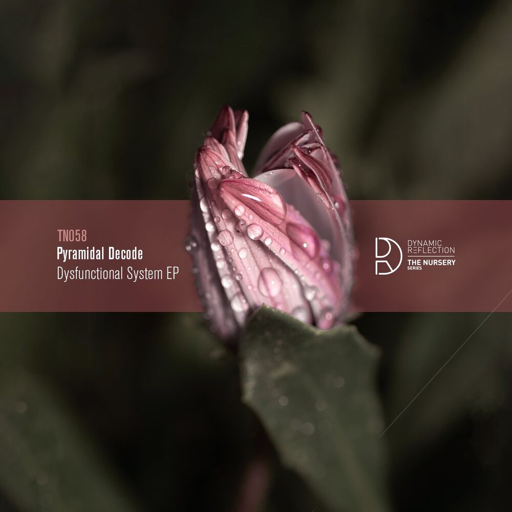 Picture of Dysfunctional System EP