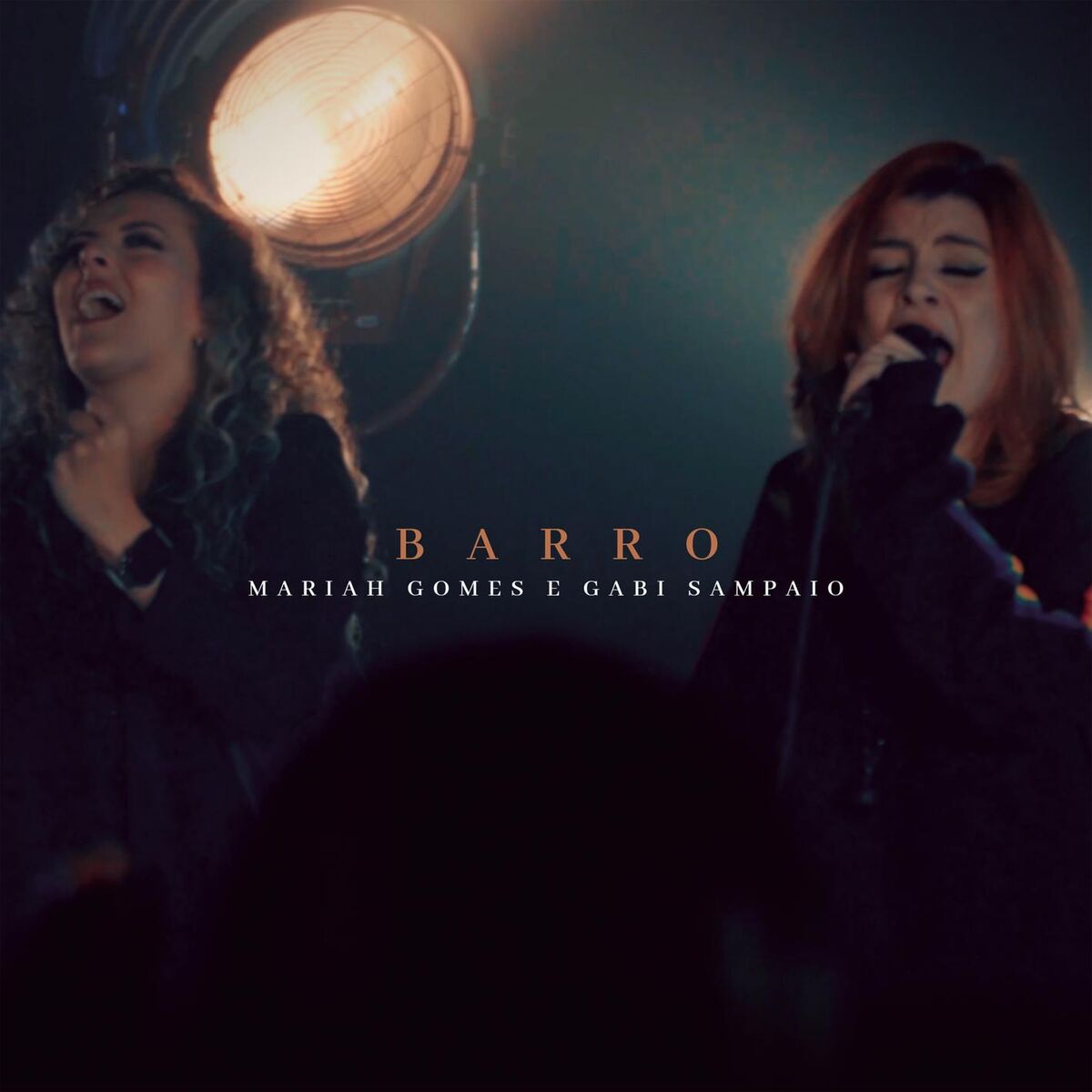 Album cover of Barro