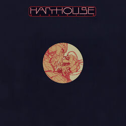 Cover of Polarized Echoes