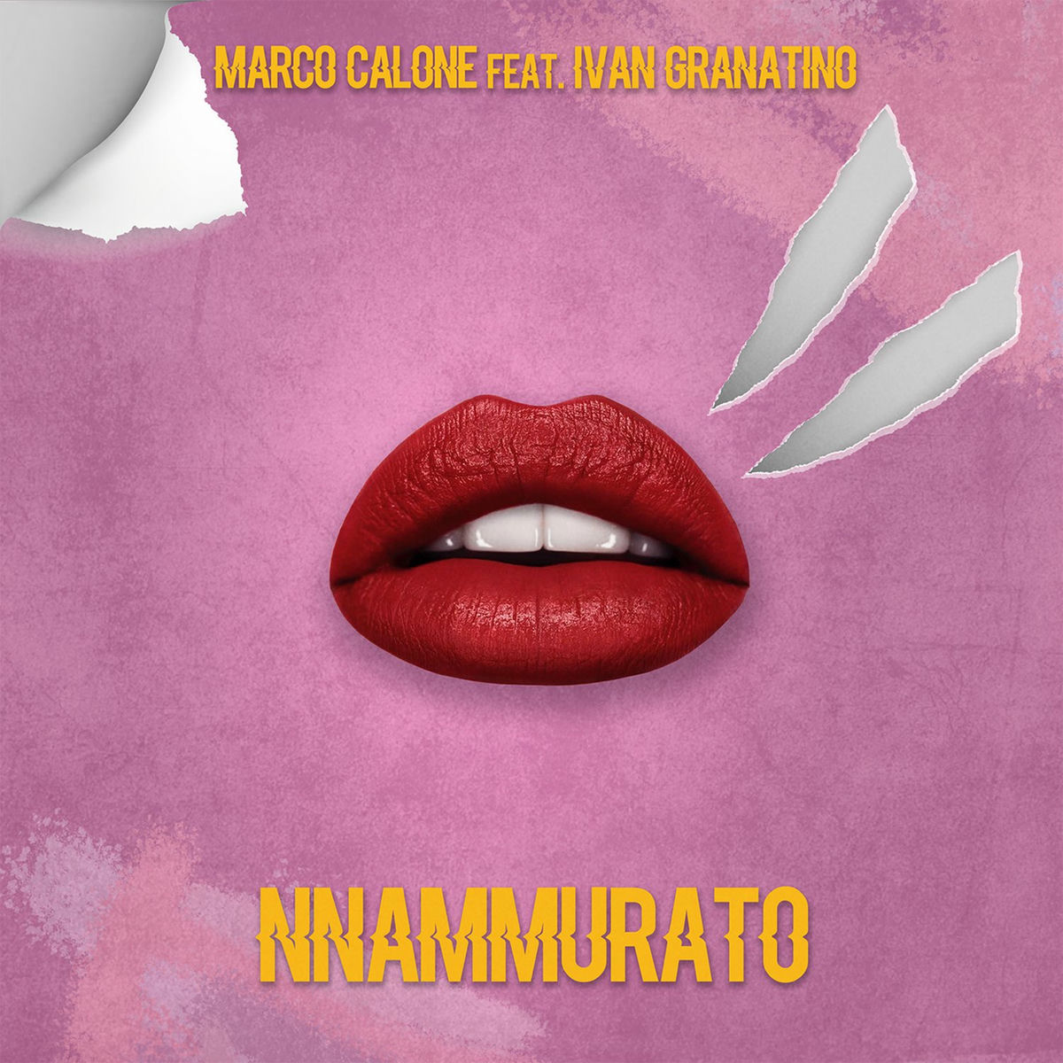Album cover of NNammurato