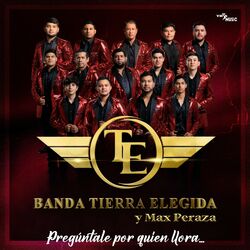 Cover of Pregúntale por quién llora
