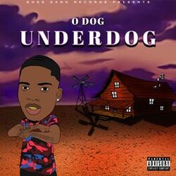 Cover of UnderDog
