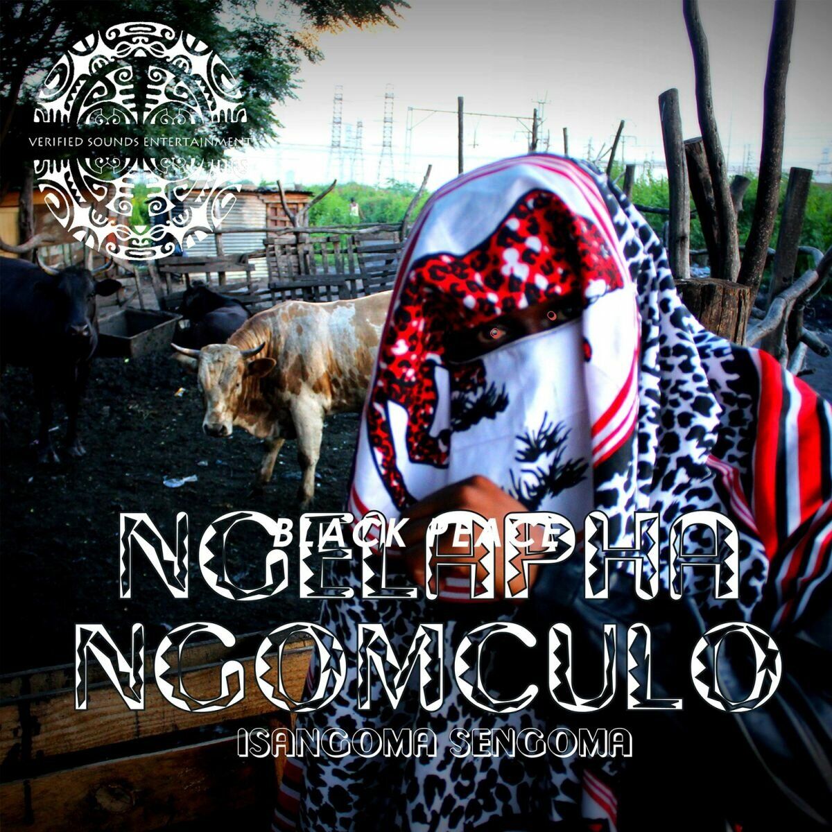 Album cover of Ngelapha Ngomculo
