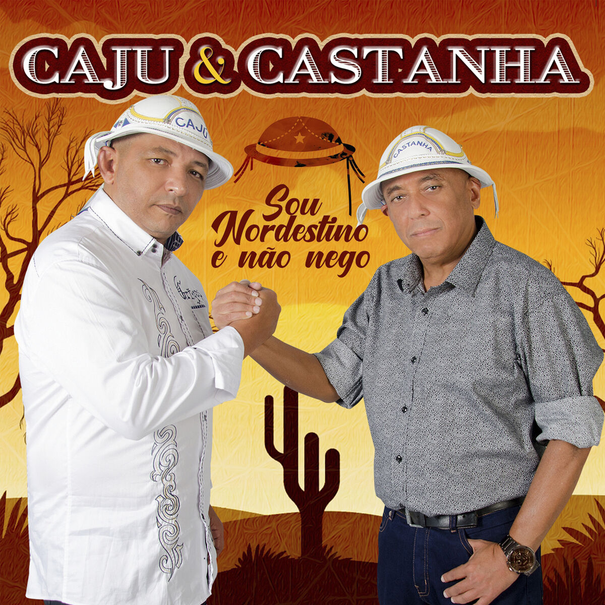 Album cover of Sou Nordestino e Não Nego