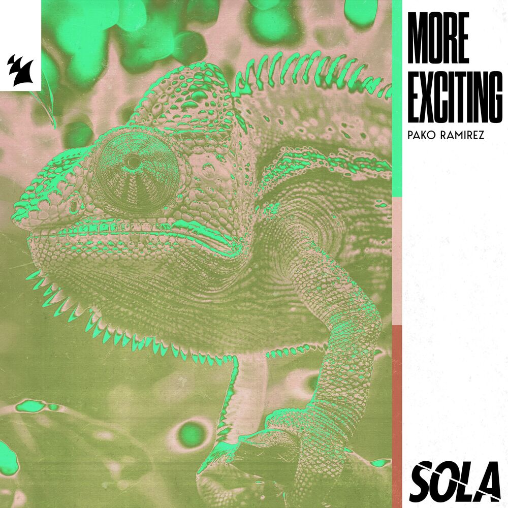 Picture of More Exciting