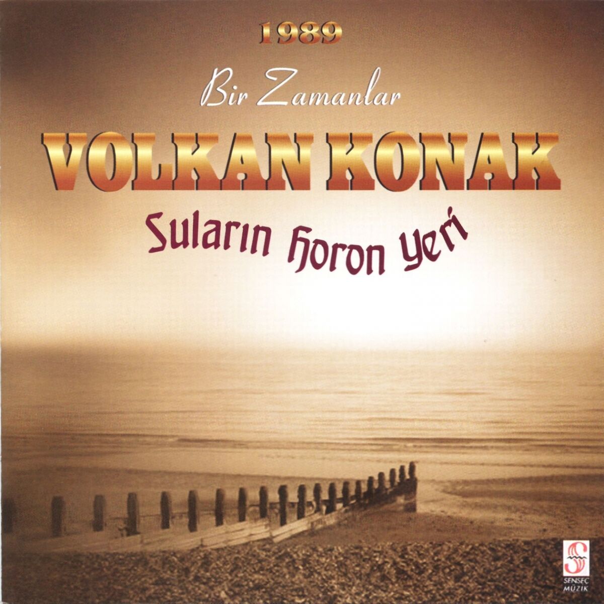 Album cover of Dumanim Derelere