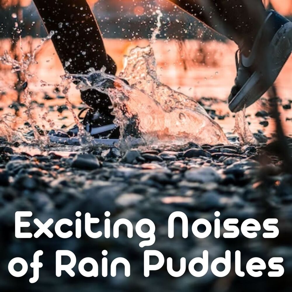 Picture of Exciting Noises of Rain Puddles
