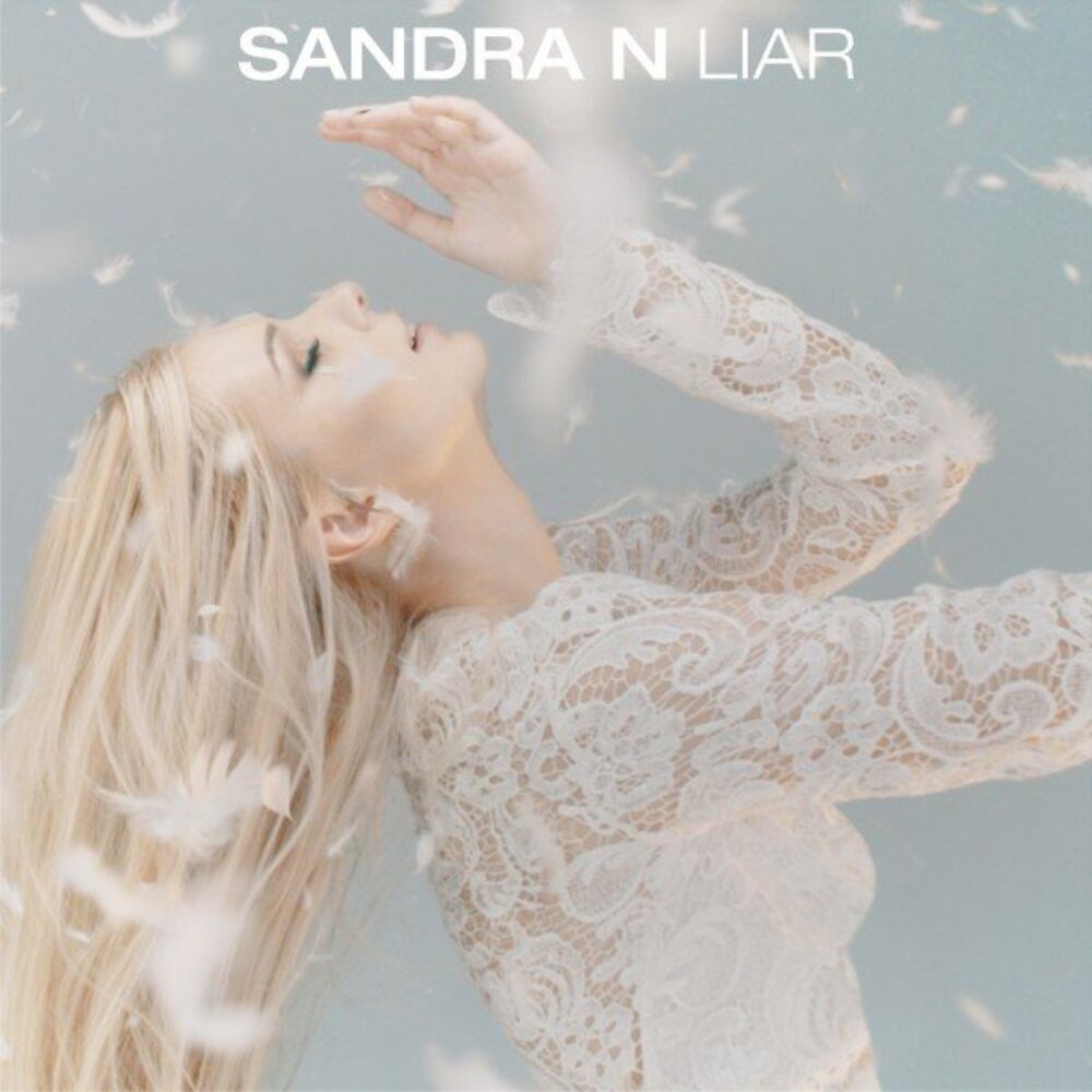 Picture of Liar