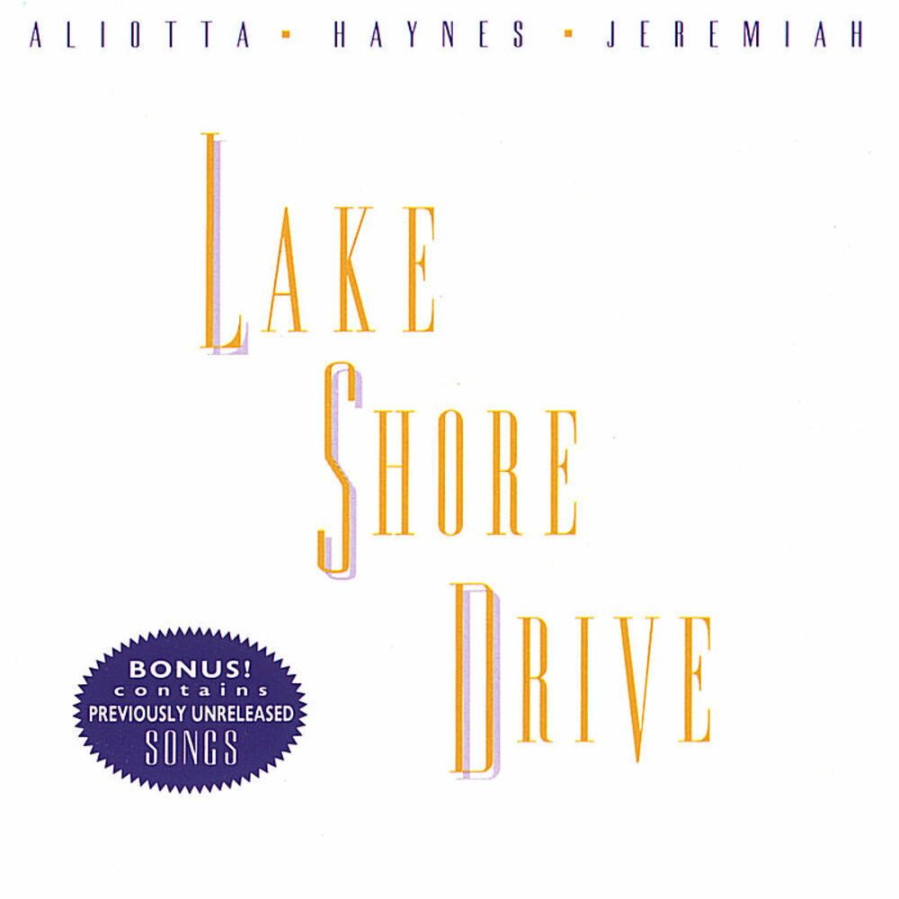 Picture of Lake Shore Drive