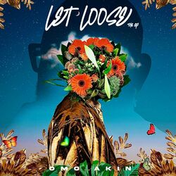 Cover of Let Loose