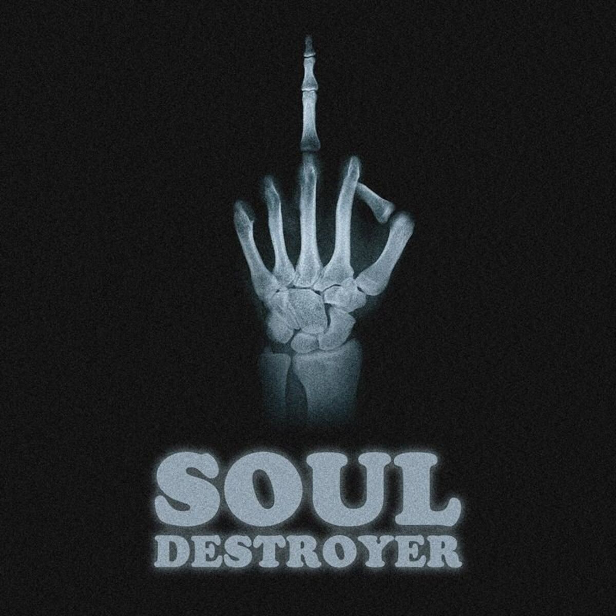 Album cover of Soul Destroyer