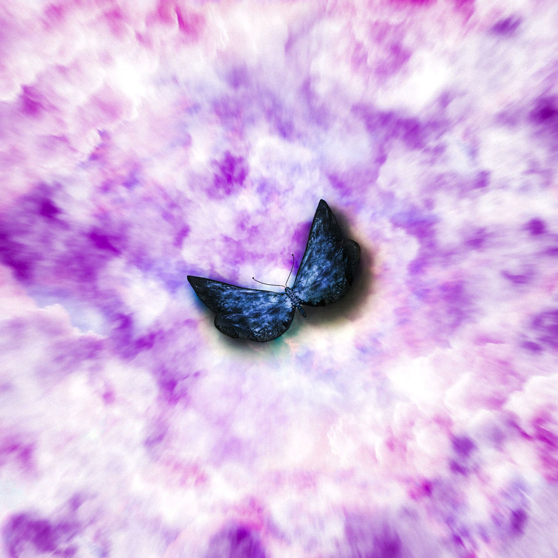 Album cover of B4WWBT