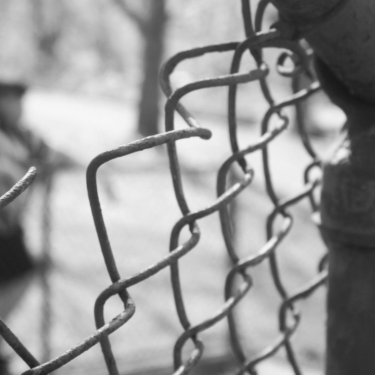 Album cover of Pass the Shovel