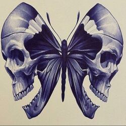 Cover of Luci