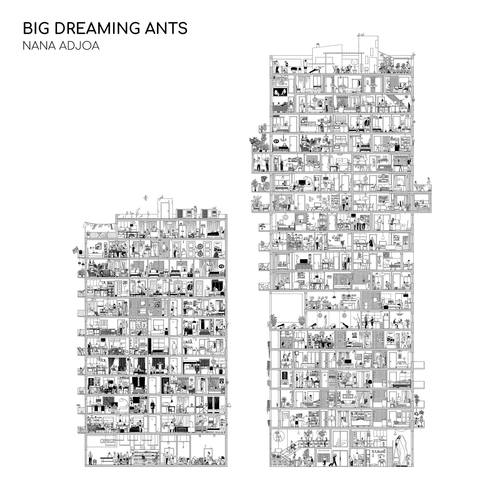 Album cover of Big Dreaming Ants
