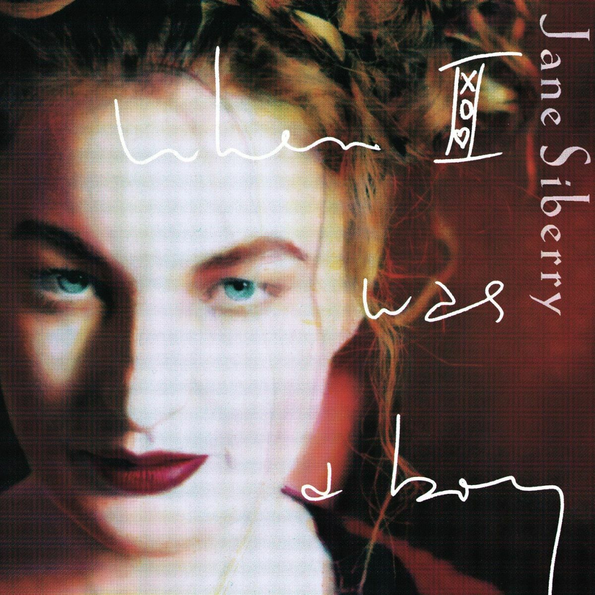 Album cover of When I Was A Boy