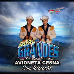 Cover of Avioneta Cesna Con Tololoche
