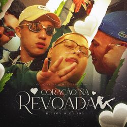 Cover of Coração na Revoada