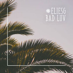 Cover of Bad Luv