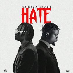 Cover of Hate