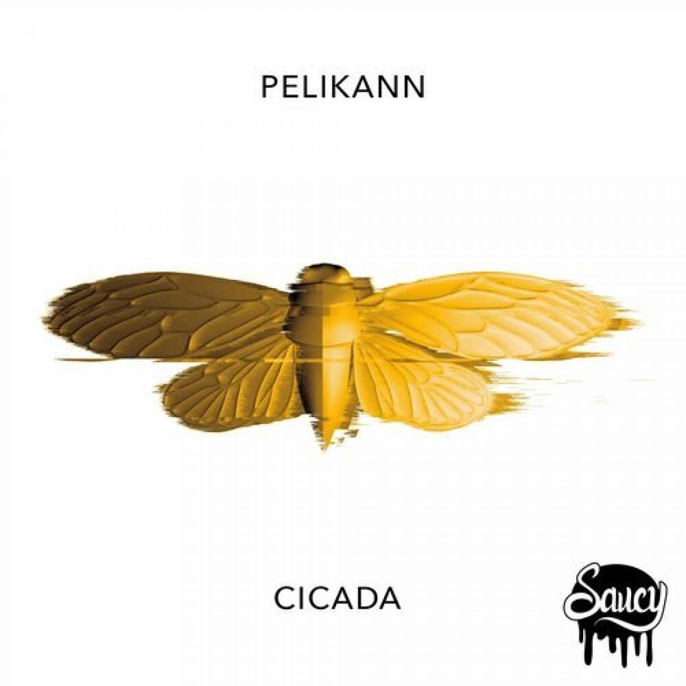 Picture of Cicada