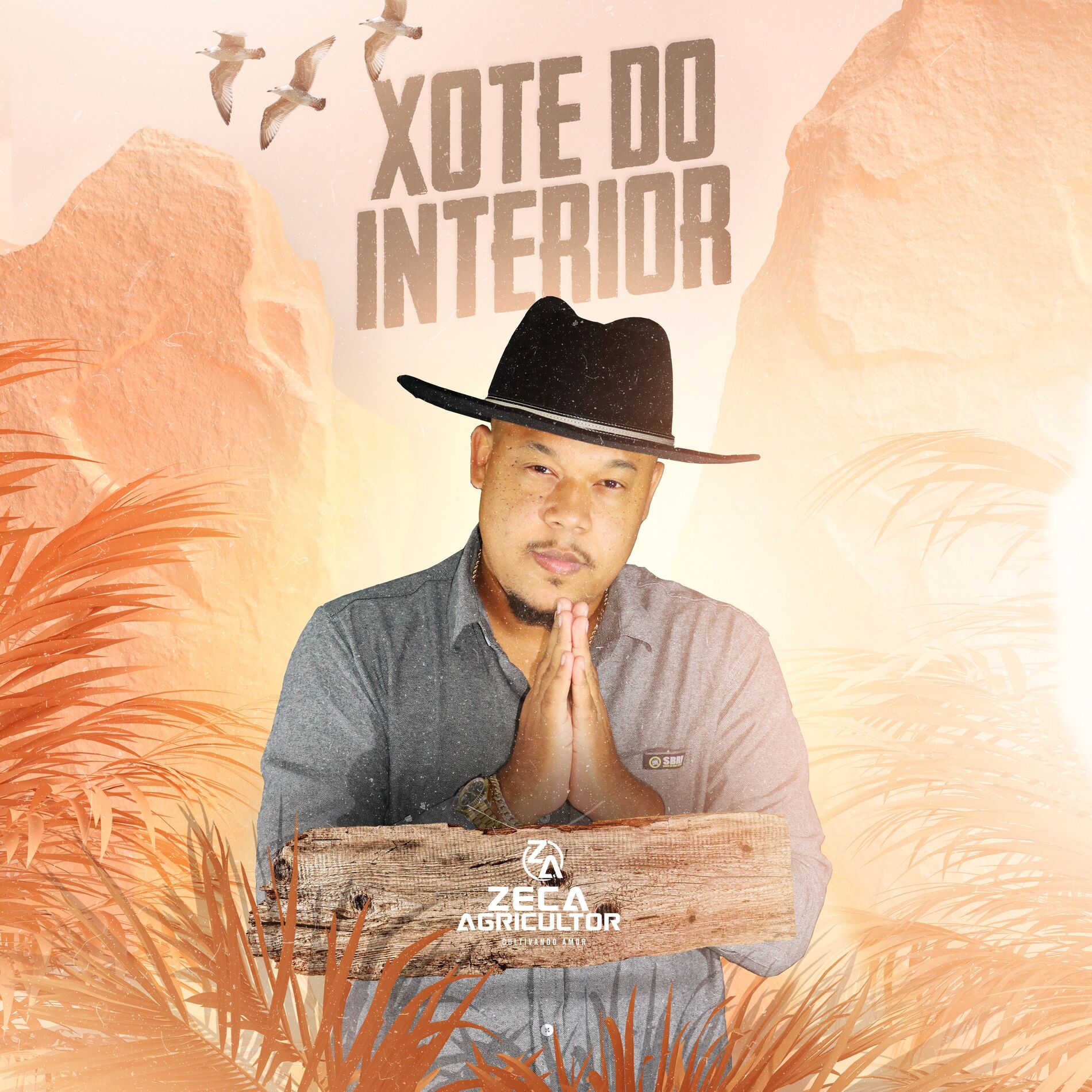 Album cover of Xote do Interior