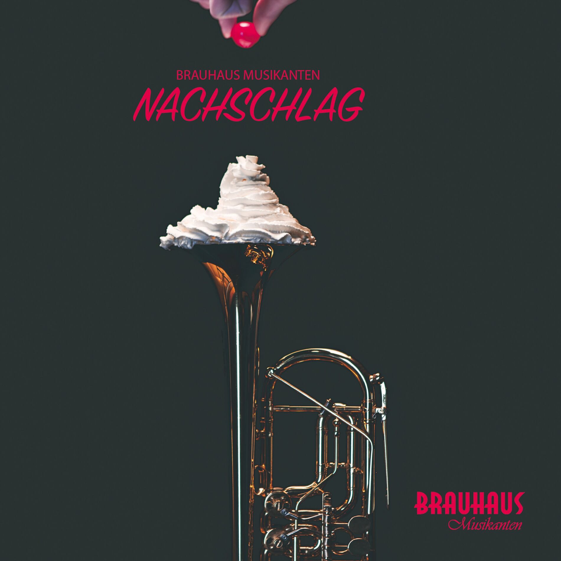 Album cover of Der wilde Kaiser