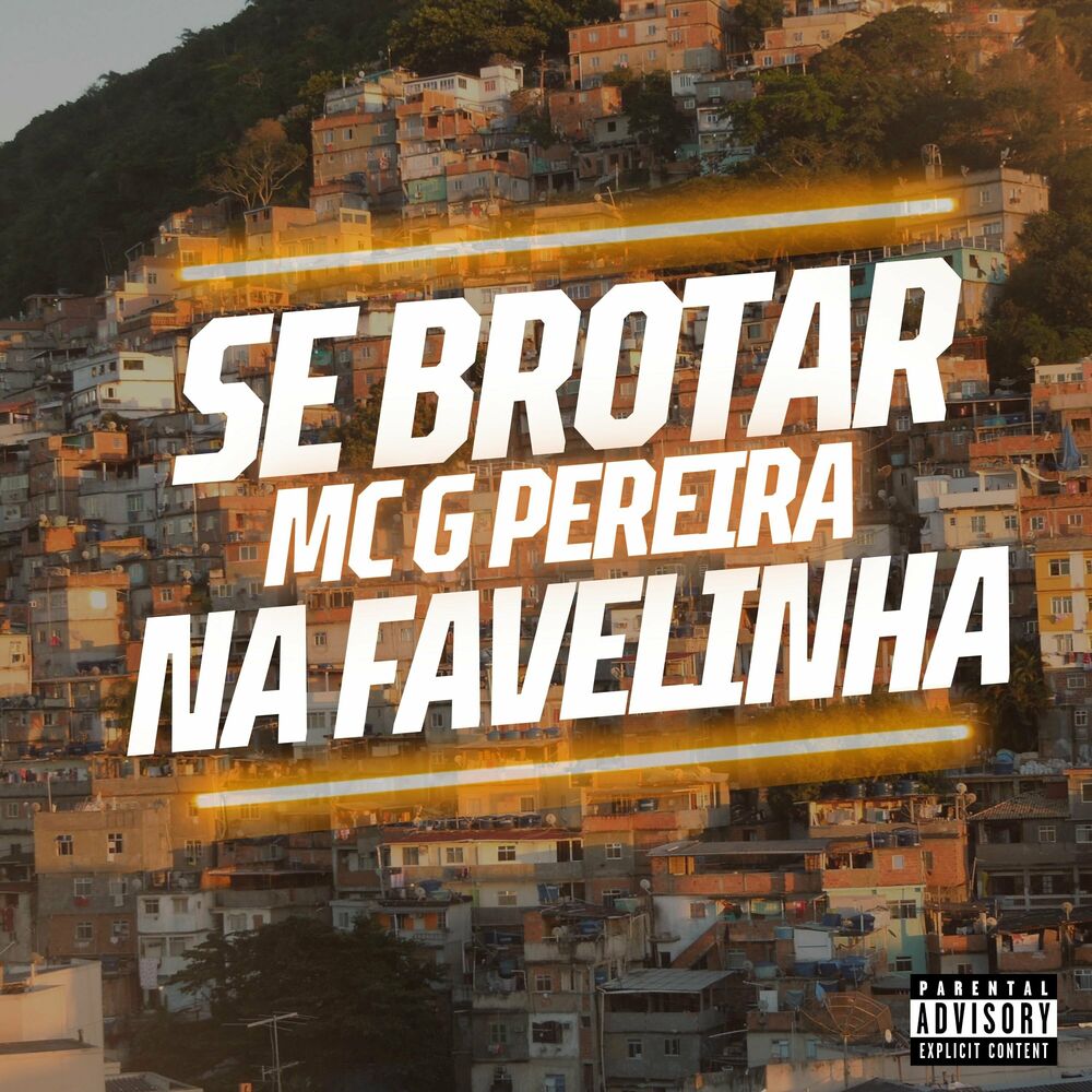 Picture of Se Brotar na Favelinha