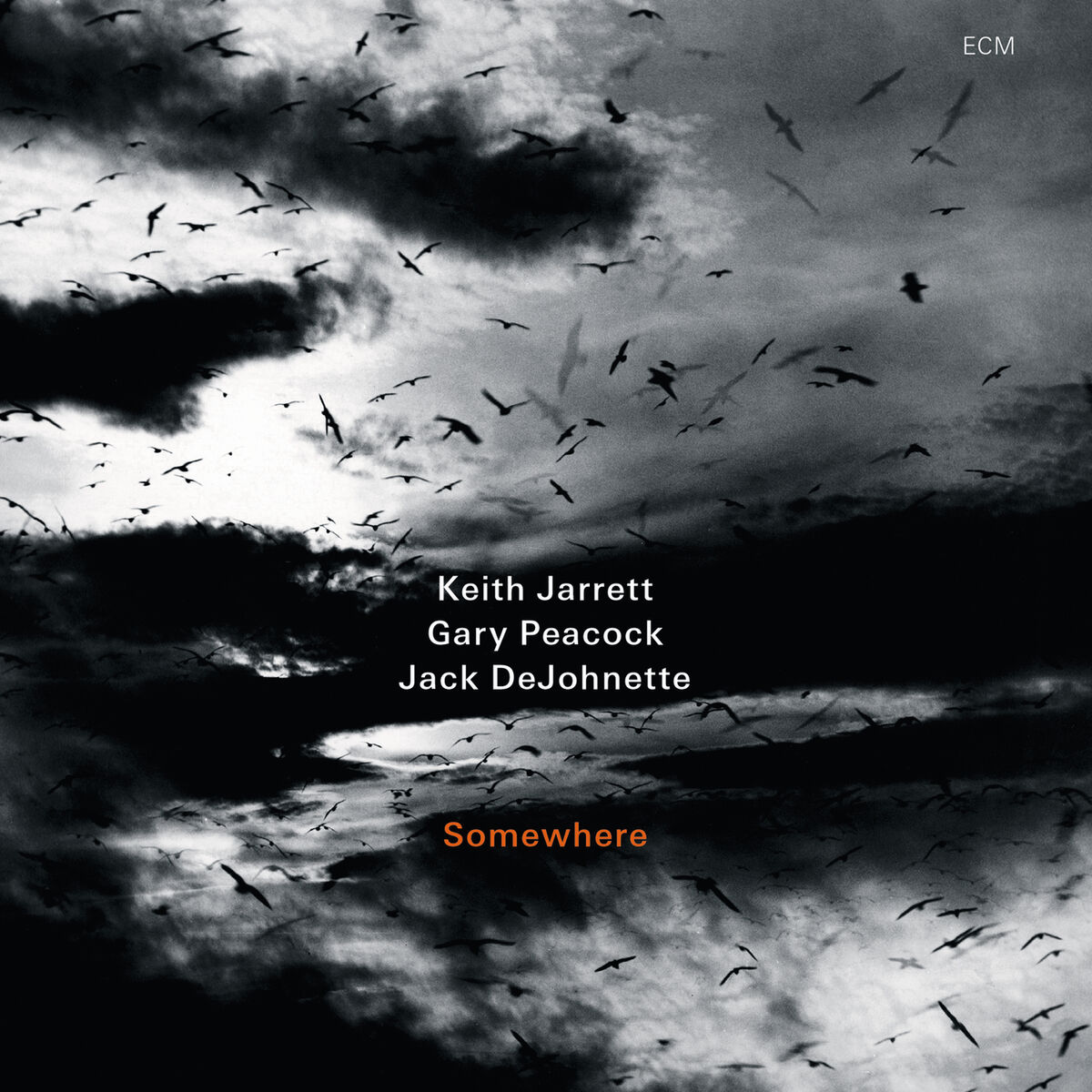 Album cover of Somewhere (Live In Lucerne / 2009)