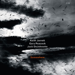 Cover of Somewhere (Live In Lucerne / 2009)