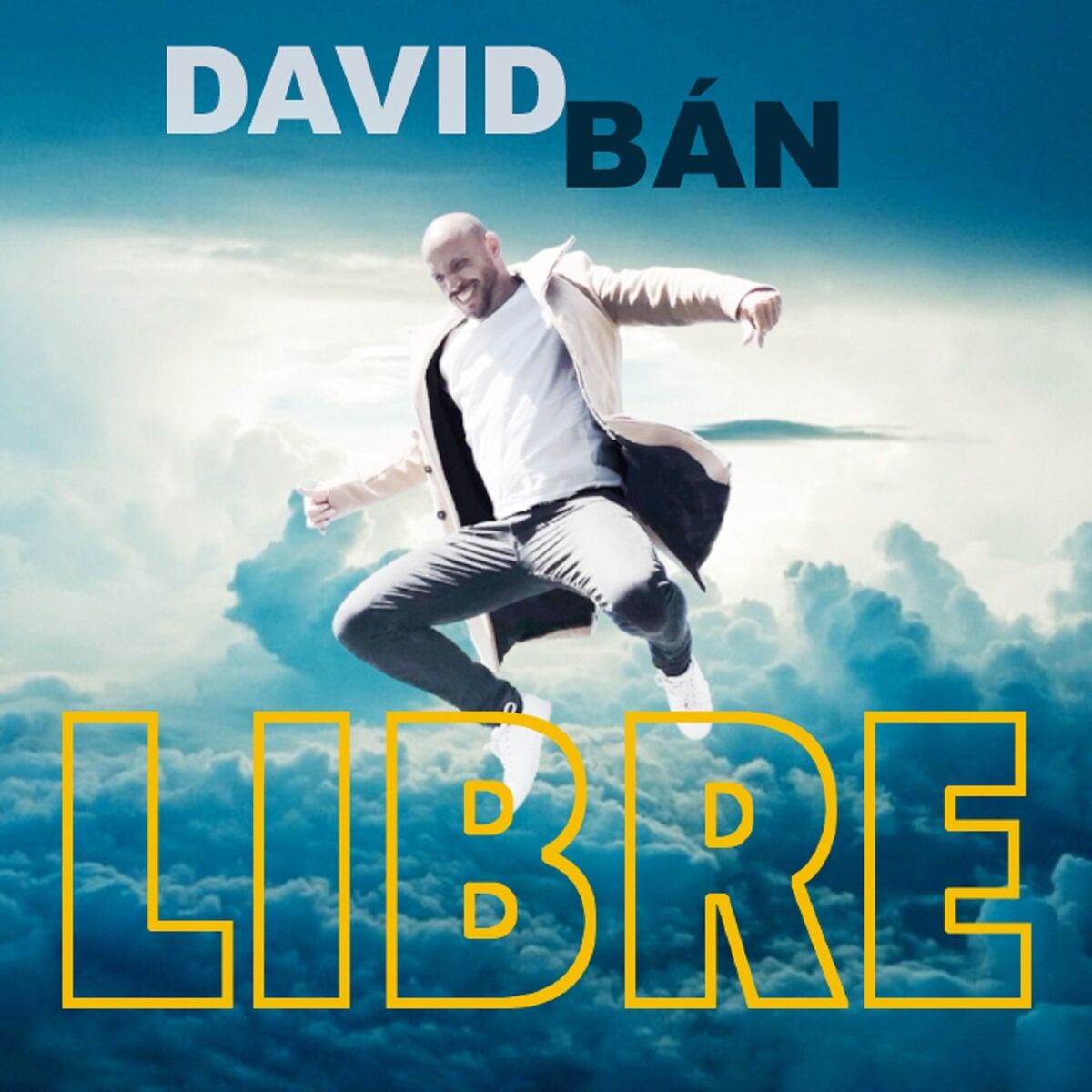Album cover of Libre