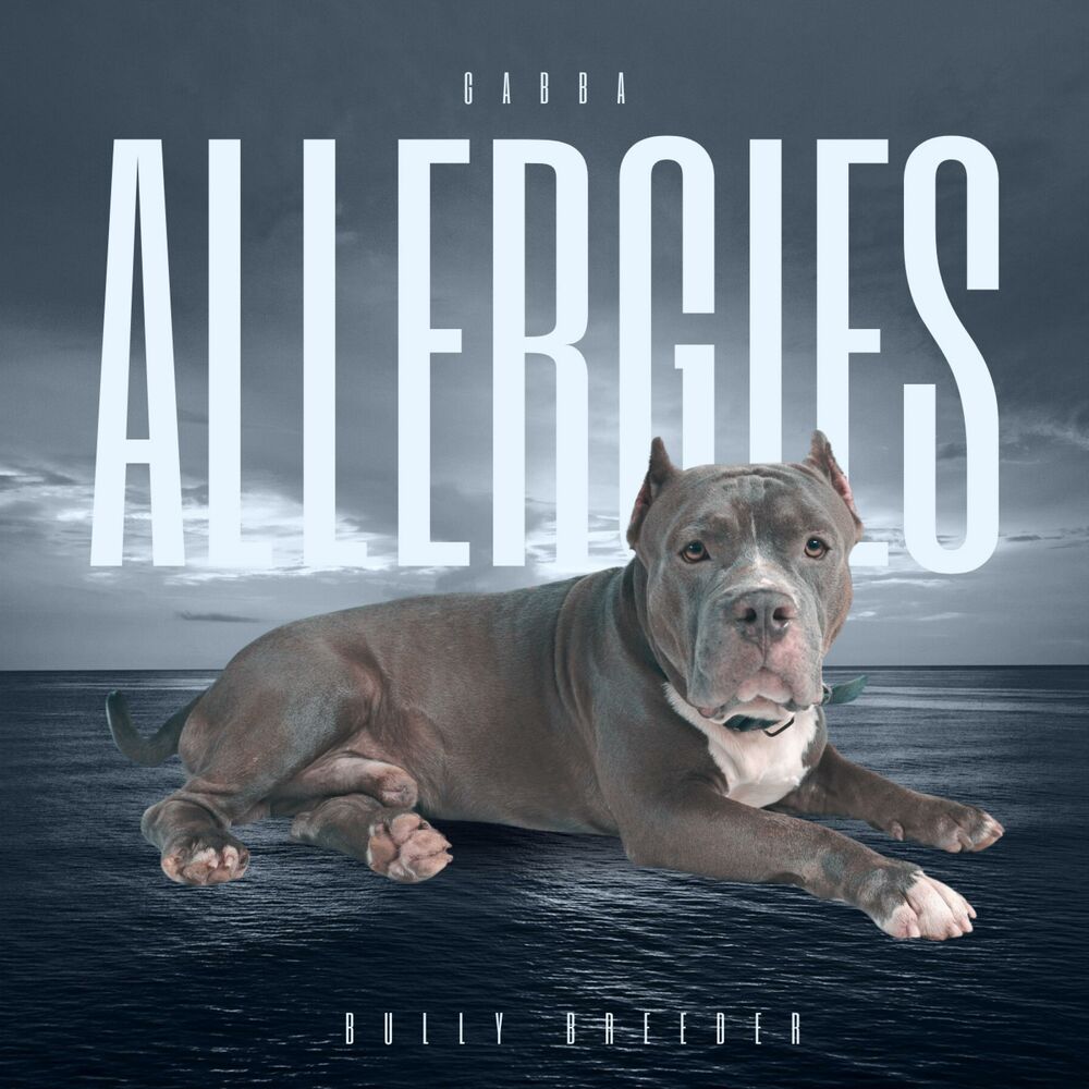 Picture of ALLERGIES