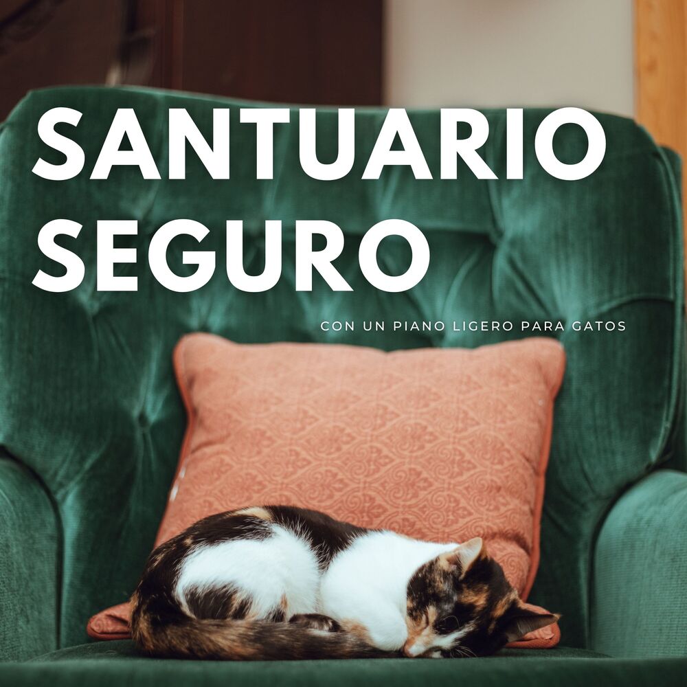 Picture of Santuario Seguro Con Un Piano Ligero Para Gatos
