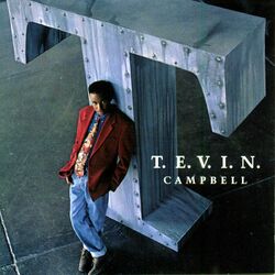 Cover of T.E.V.I.N.