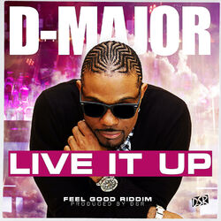 Cover of Live It Up