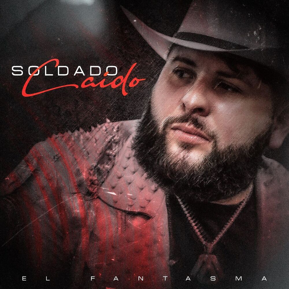 Picture of Soldado Caído