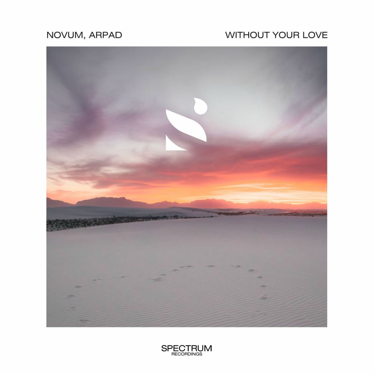 Album cover of Without Your Love