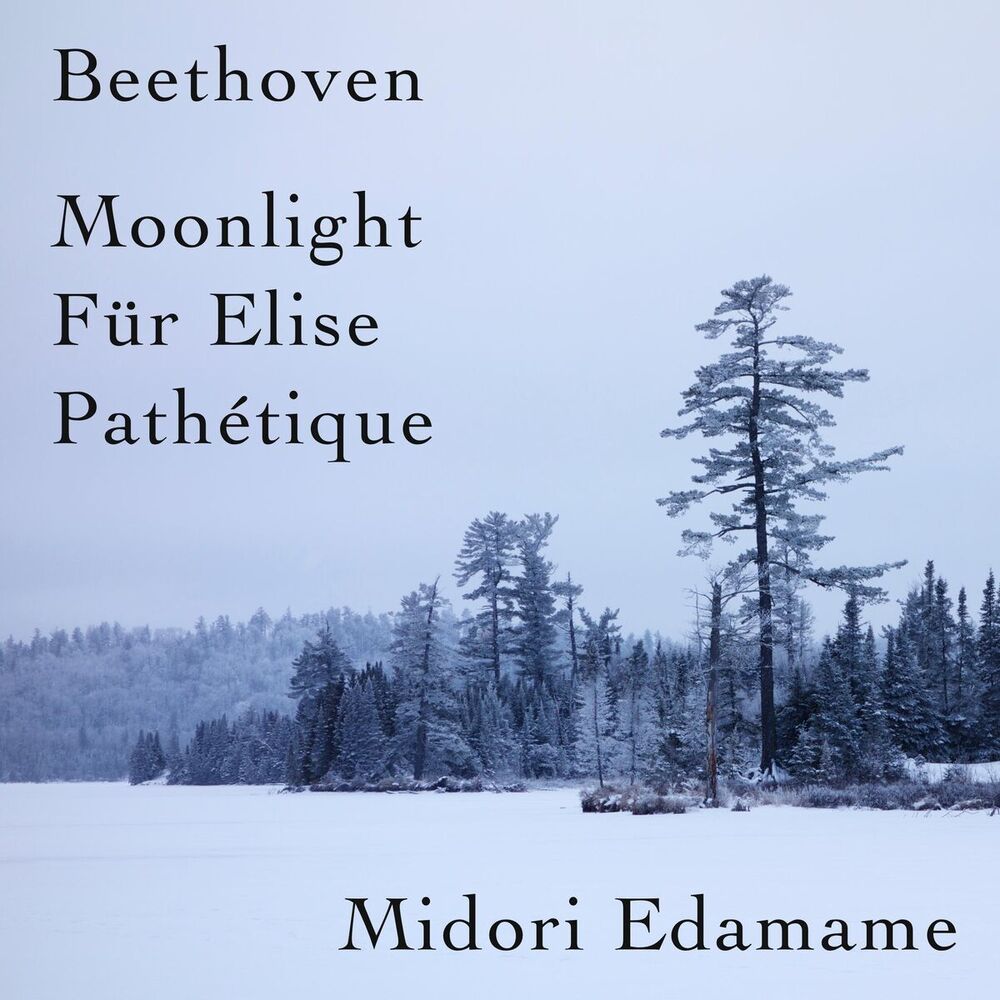 Picture of Beethoven: Moonlight / Für Elise / Pathétique