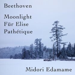 Cover of Beethoven: Moonlight / Für Elise / Pathétique