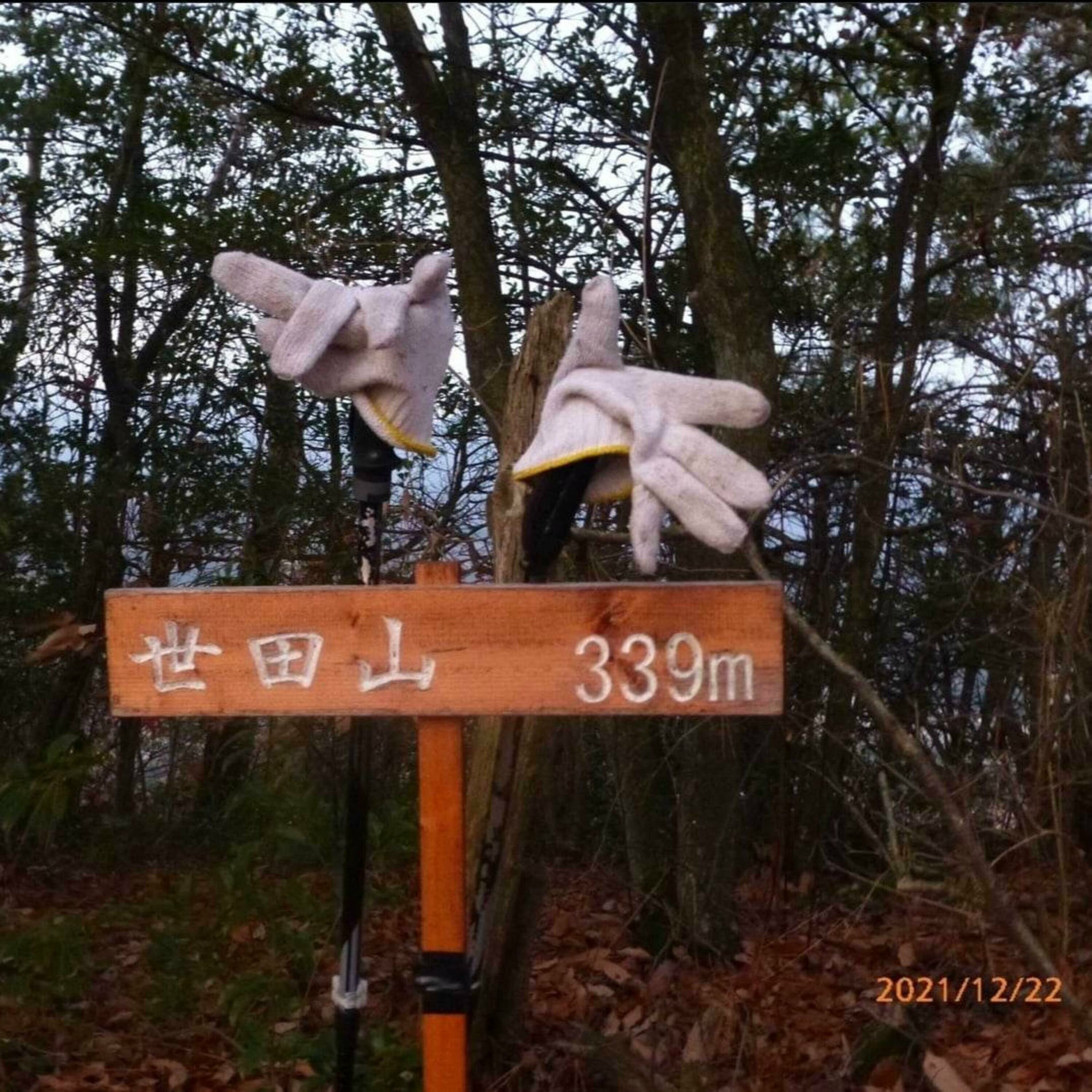 Album cover of 瀬田山へようこそ