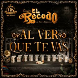 Cover of Al Ver Que Te Vas