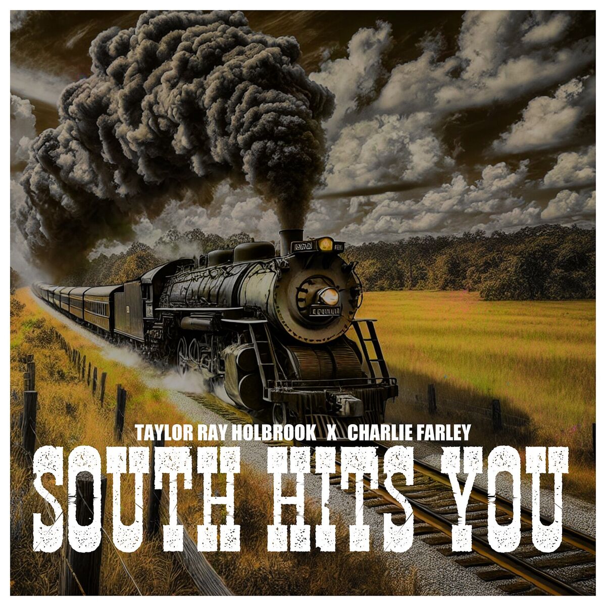 Album cover of South Hits You