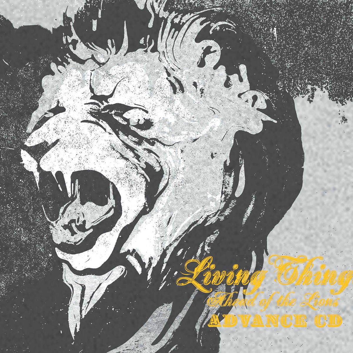 Album cover of Ahead Of The Lions